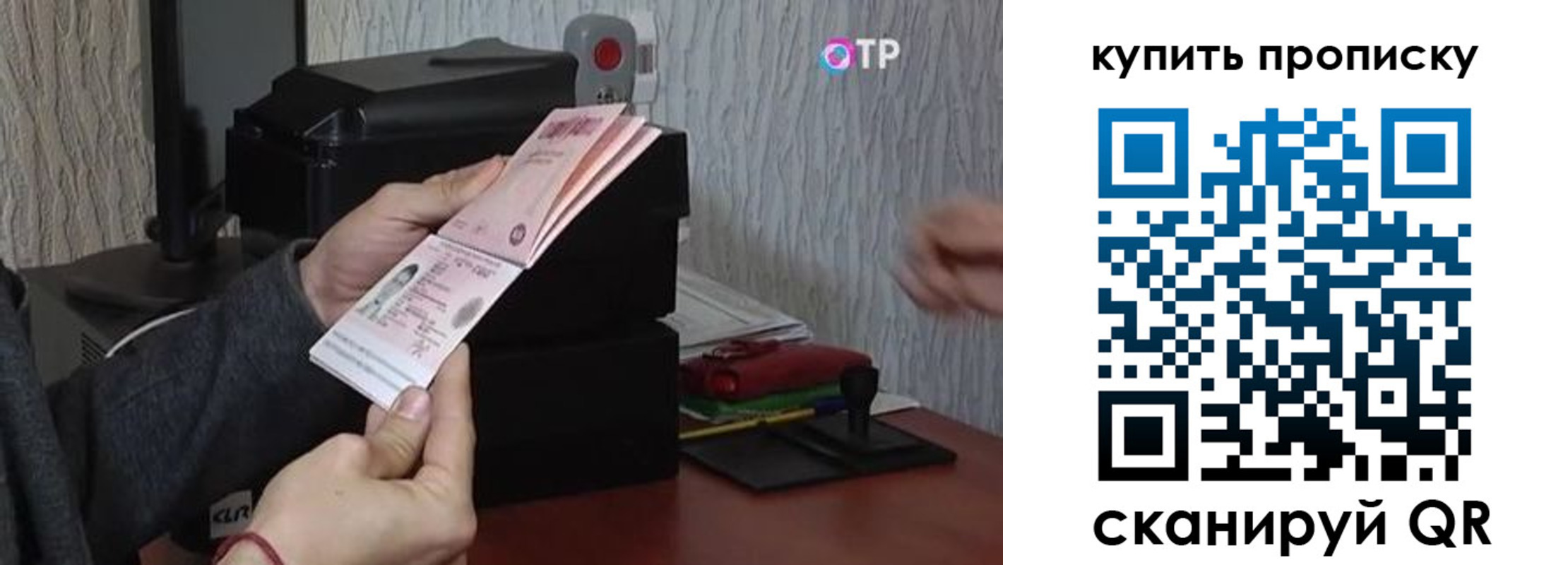 прописка гарантия в Кудрово