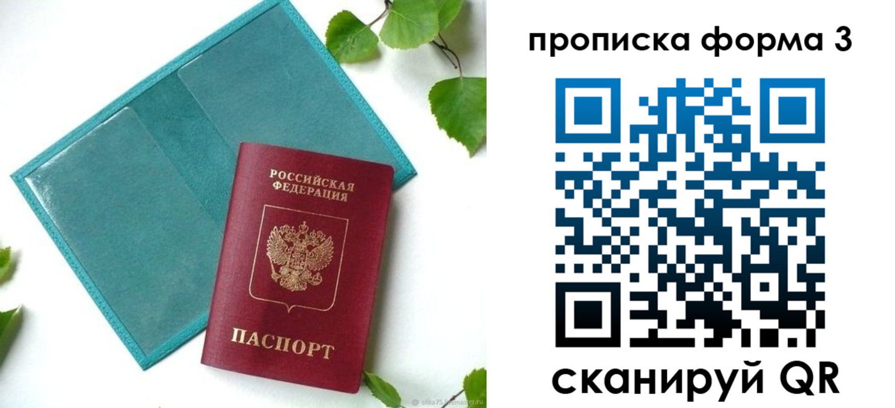 прописка ребенка в Кудрово
